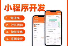 软件开发，APP开发，小程序开发，物联网系统定制开发